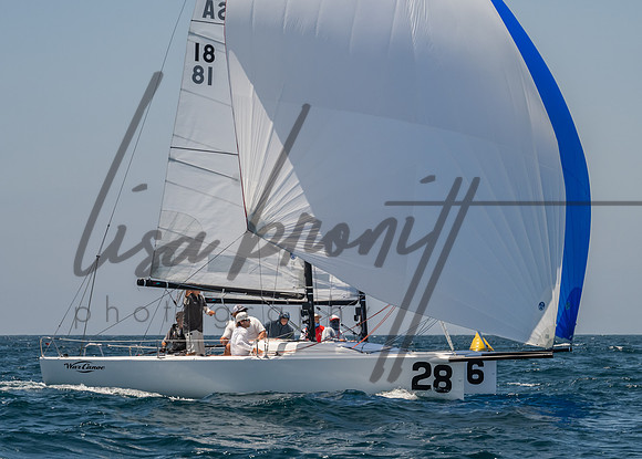 Cal Cup D1-110