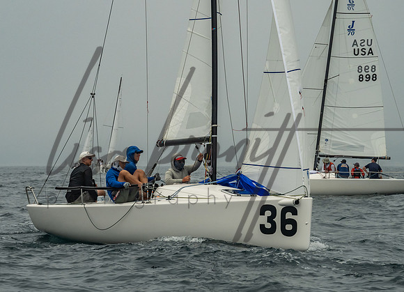 Cal Cup D2-143