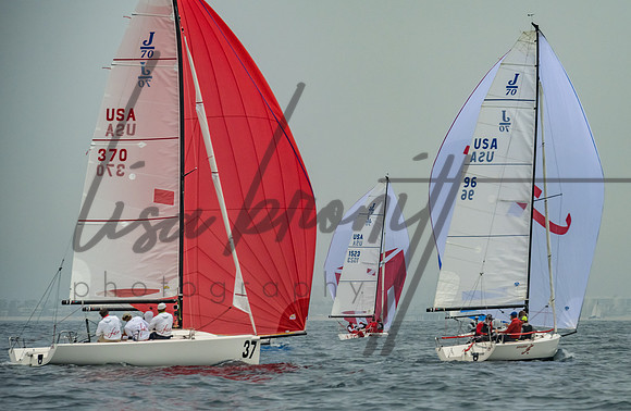 Cal Cup D2-173