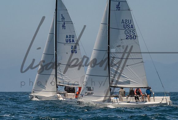 Cal Cup D1-81