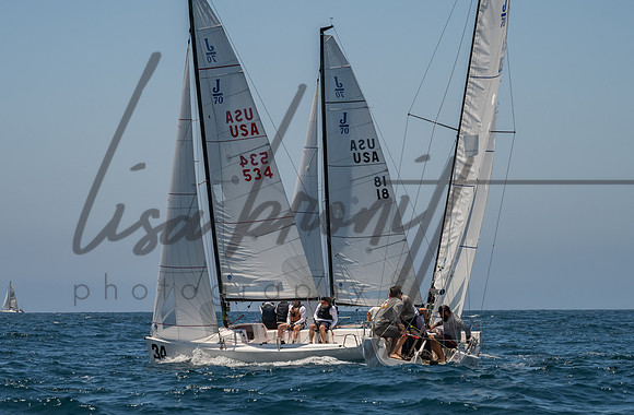 Cal Cup D1-83