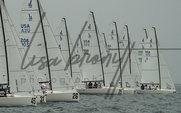 Cal Cup D2-40