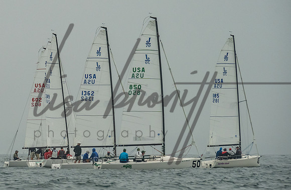 Cal Cup D2-31