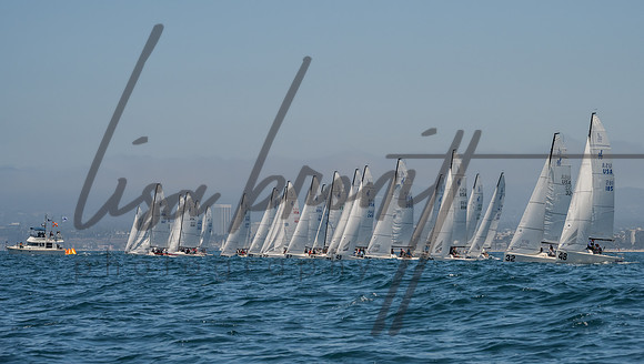Cal Cup D1-43