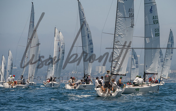 Cal Cup D1-39