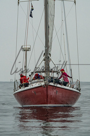 032622 DRYC Berger Stein-25