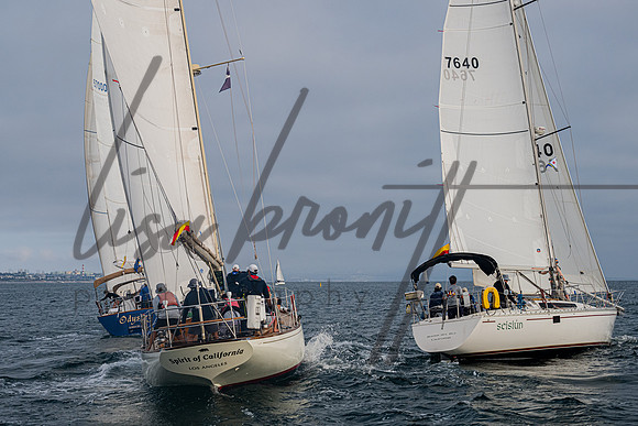 080322 CYC SS-196