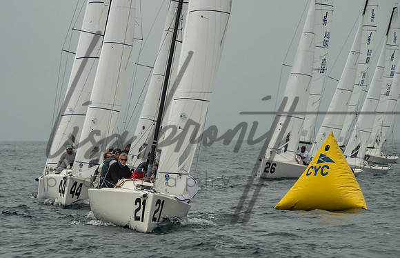 Cal Cup D2-123