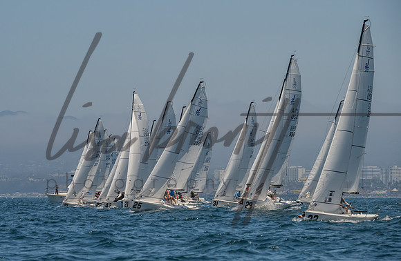 Cal Cup D1-47