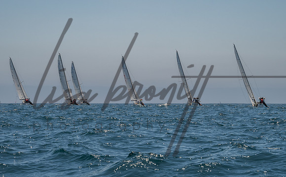 Cal Cup D1-86