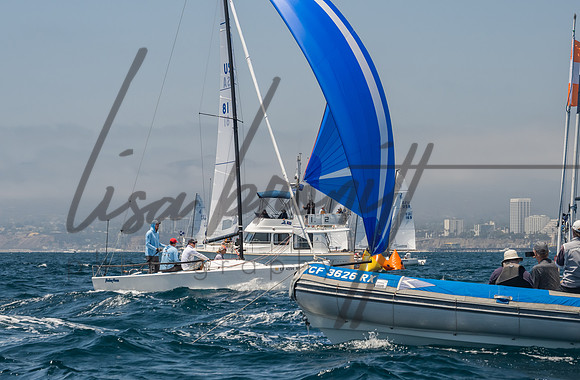 Cal Cup D1-139