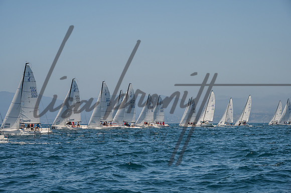 Cal Cup D1-78