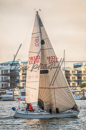 MDR Race 0810 (nw)-309