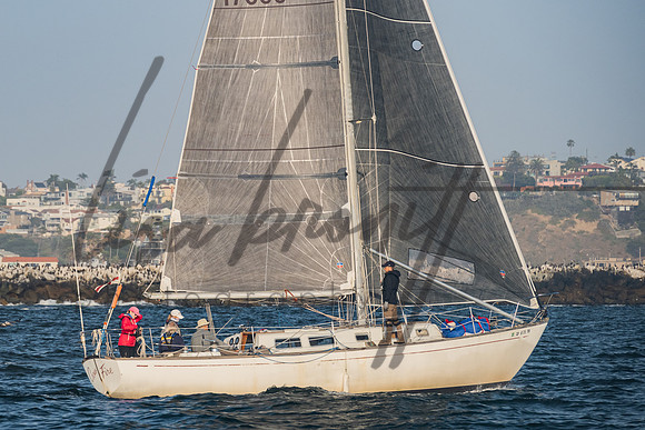 042722 CYC SS-230