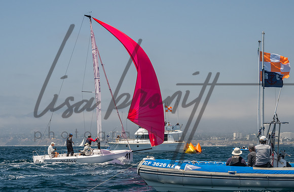 Cal Cup D1-115
