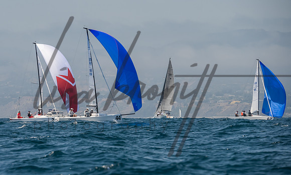 Cal Cup D1-96
