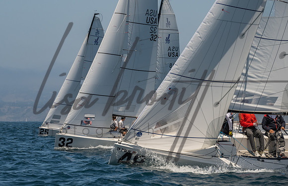 Cal Cup D1-50
