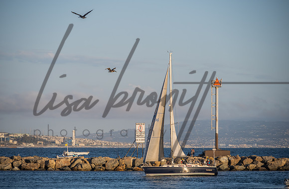 SS 062321 (nw)-270